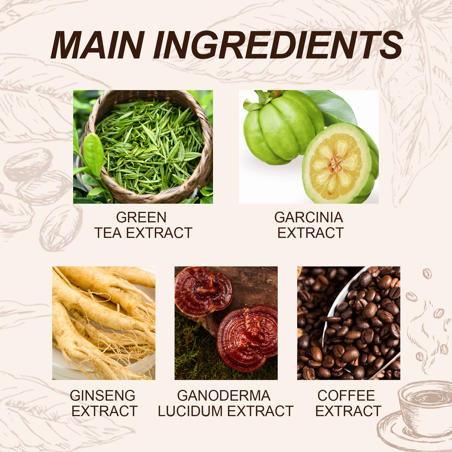 Googeer Slim Green Coffee